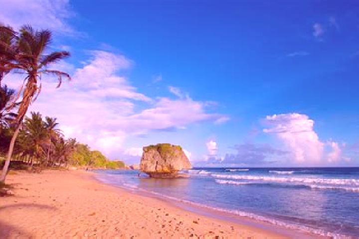 Isabella, 21 — Escort in Bathsheba, Barbados