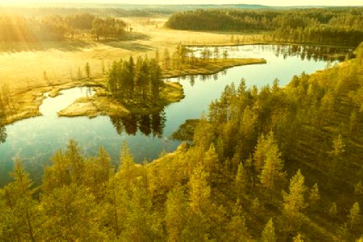 Isabella, 21 — Escort in Kiuruvesi, Finland