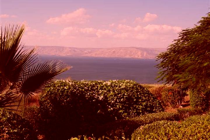 Isabella, 21 — Escort in Tiberias, Israel