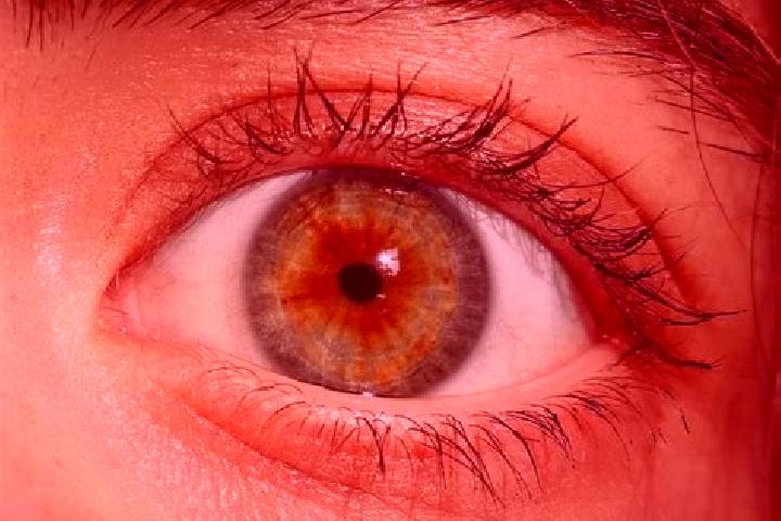 Isabella, 22, a red hazel-eyed asian companion based in Derebucak. Offering Travel Companion, Striptease, GFE. Available for incall and outcall, overnight bo...