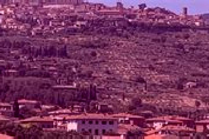 Isabella, 22 — Escort in Camucia-Monsigliolo, Italy
