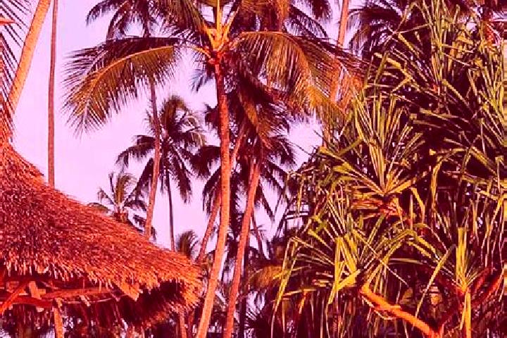 Isabella, 23 — Escort in Hedaru, Tanzania