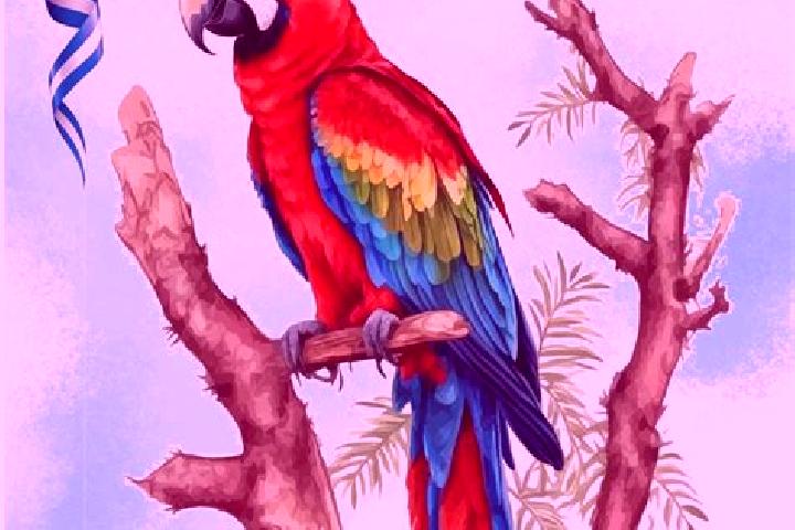 Isabella, 23 — Escort in La Guacamaya, Honduras