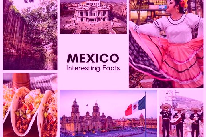 Isabella, 23 — Escort in La Tijera, Mexico