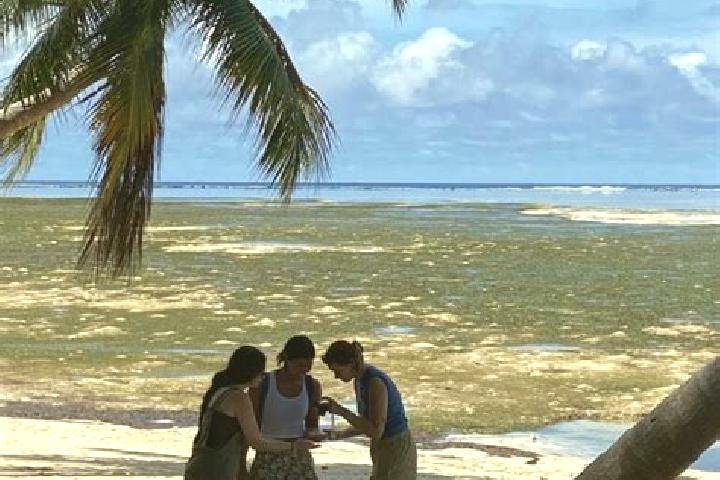 Isabella, 23 — Escort in Ulimang, Palau