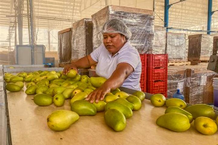 Isabella, 24 — Escort in Puerta de Mangos, Mexico