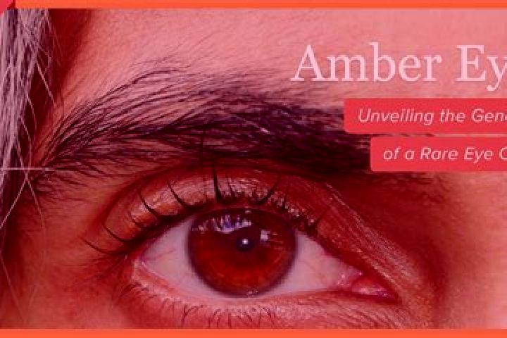 Isabella, 25, a dark blonde amber-eyed indian companion based in Gossolengo. Offering Tantra, Roleplay, Fetish. Available for incall and outcall, day and eve...