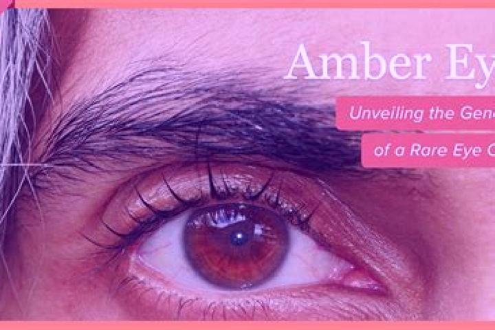 Isabella, 25, a red amber-eyed indian companion based in Madayikonam. Offering Roleplay, OWO, Dinner Date, Overnight, Domination. Available for incall and ou...