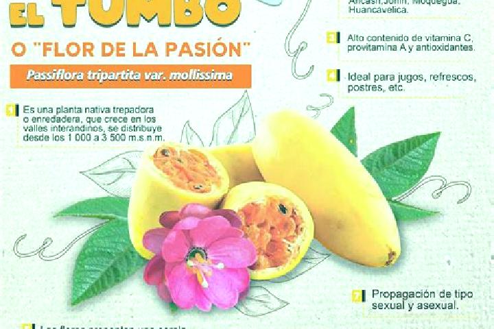 Isabella, 25 — Escort in El Tumbo, Mexico