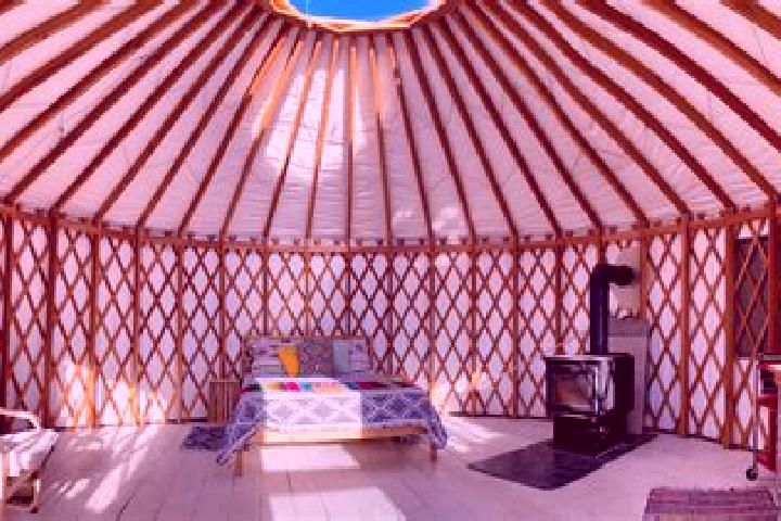 Isabella, 25 — Escort in Shaami-Yurt, Russia