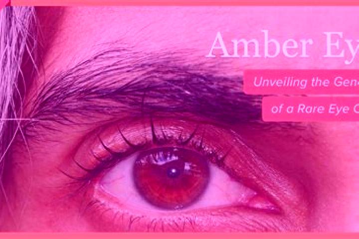 Isabella, 26, a black amber-eyed slavic companion based in Maria Cristina. Offering CIM, Erotic Massage, Prostate Massage, Girlfriend Experience, Fetish. Ava...