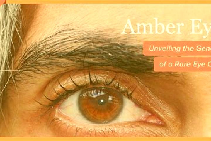 Isabella, 26, a red amber-eyed caucasian companion based in Mumbue. Offering Fetish, Duos, Overnight, BDSM, OWO. Available for incall and outcall, day and ev...