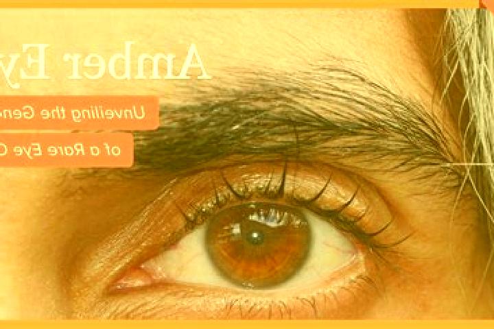 Isabella, 26, a red amber-eyed indian companion based in Lusk. Offering 69, Overnight, Dinner Date, OWO. Available for incall and outcall, overnight bookings...