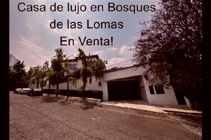 Isabella, 26 — Escort in Lomas de Santa Cruz, Mexico