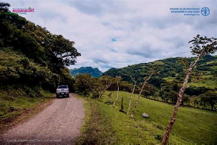 Isabella, 26 — Escort in San Jose de los Remates, Nicaragua