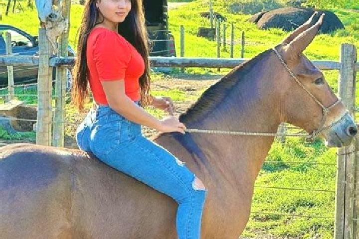 Isabella, 26 — Escort in Sao Joao do Manteninha, Brazil