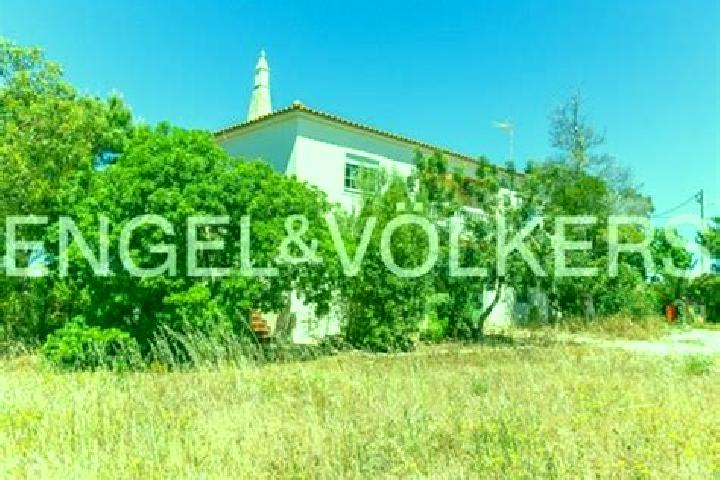 Isabella, 26 — Escort in Vila Nova De Cacela, Portugal
