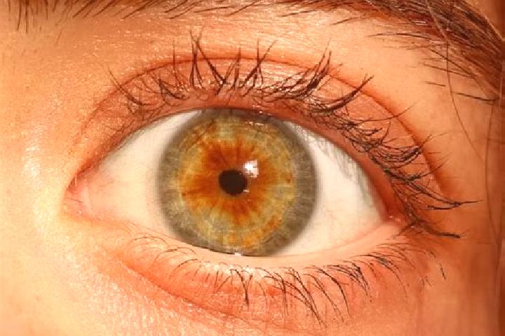 Isabella, 27, a red hazel-eyed middle eastern companion based in Boulder Hill. Offering BDSM, Prostate Massage, Tantra, CIM. Available for incall and outcall...