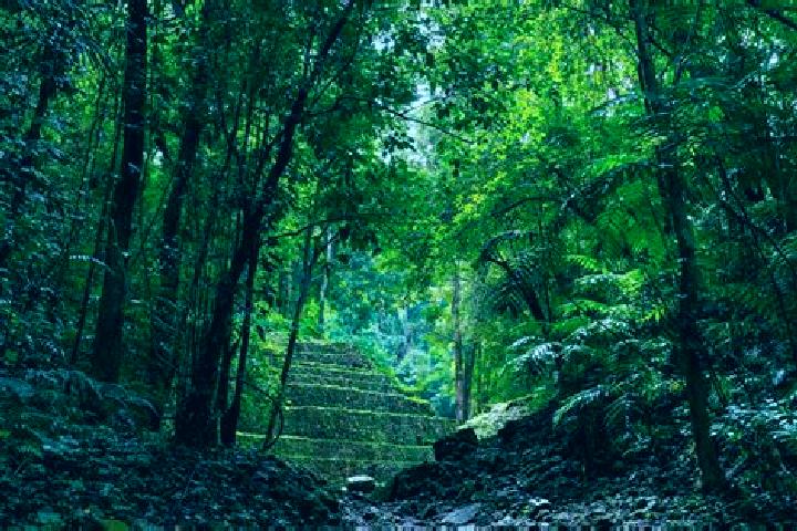 Isabella, 27 — Escort in La Selva, Mexico