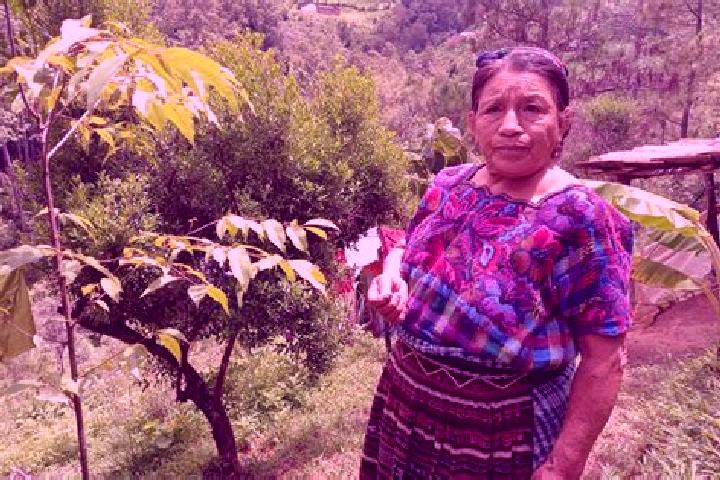 Isabella, 27 — Escort in Santa Maria Chiquimula, Guatemala