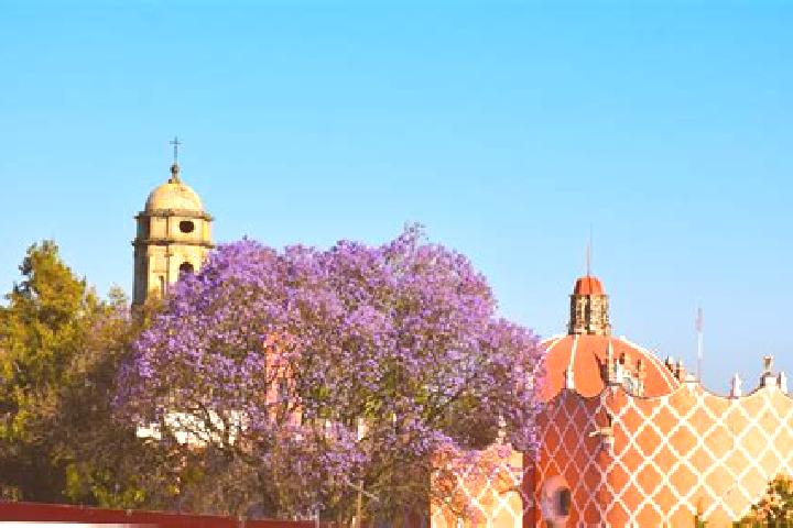 Isabella, 28 — Escort in Colonia Ampliacion (San Miguel Tlahuac), Mexico