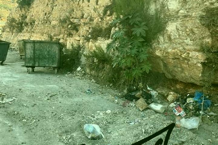 Isabella, 28 — Escort in Nahhalin, Palestine