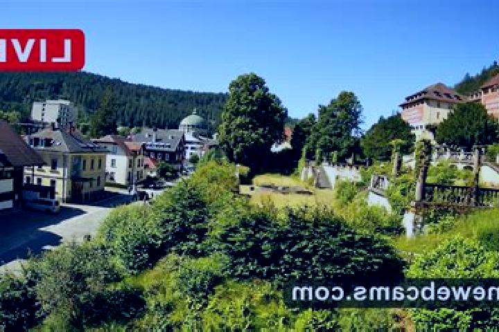 Isabella, 28 — Escort in Sankt Blasien, Germany