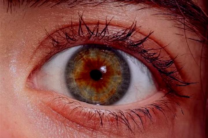 Isabella, 30, a red hazel-eyed mixed companion based in Ningtang. Offering Fetish, 69, Domination. Available for incall and outcall, overnight bookings avail...