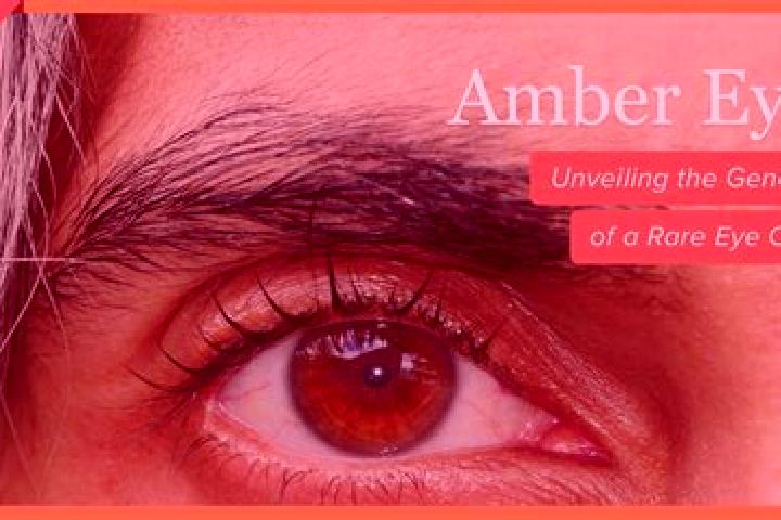 Isabella, 32, a red amber-eyed asian companion based in Sicily Island. Offering Roleplay, GFE, Prostate Massage, Dinner Date, Tantra. Available for incall an...