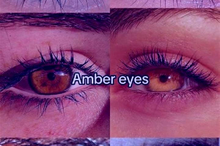 Isabella, 33, a chestnut amber-eyed indian companion based in Villanova d Albenga. Offering Roleplay, Duos, CIM, Erotic Massage. Available for incall and out...