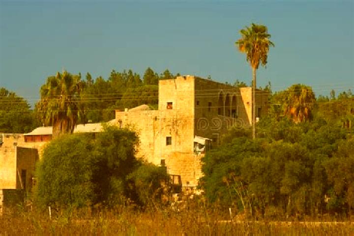 Isabella, 35 — Escort in Binyamina-Giv at Ada, Israel
