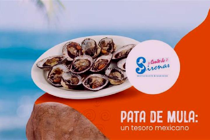 Isabella, 36 — Escort in Pata de Mula de los Cedros (Patemula), Mexico