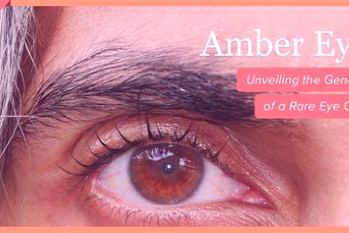 Isabella, 37, a black amber-eyed caucasian companion based in Humbe. Offering Duos, 69, Travel Companion. Available for incall and outcall, overnight booking...