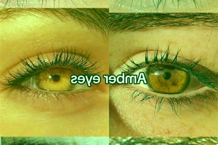 Isabella, 37, a chestnut amber-eyed middle eastern companion based in Bougadoum. Offering OWO, Deep French Kissing. Available for incall and outcall, day and...