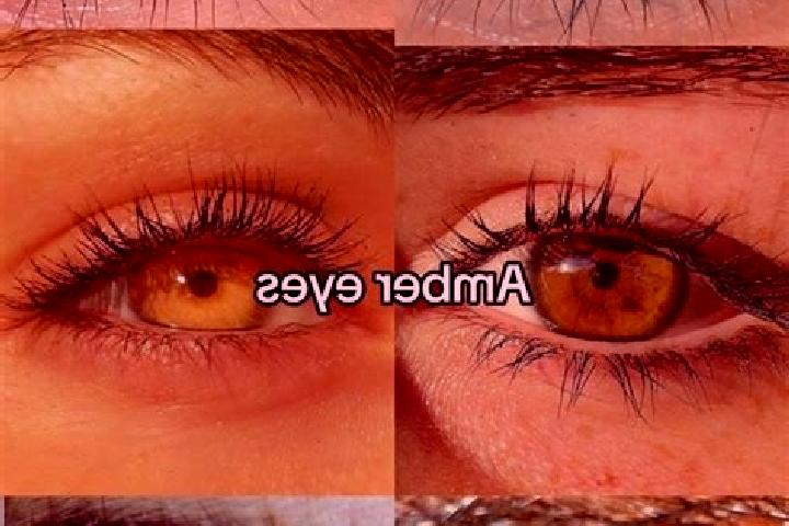 Isabella, 37, a chestnut amber-eyed slavic companion based in Clarke s Beach. Offering Overnight, OWO, Massage, Couples, A-Level. Available for incall and ou...