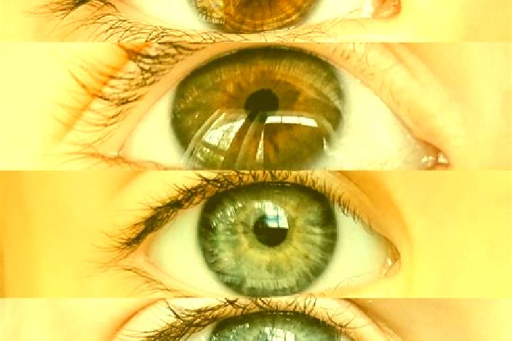 Isabella, 37, a chestnut hazel-eyed caucasian companion based in Trivento. Offering Massage, 69, Tantra. Available for incall and outcall, day and evening da...