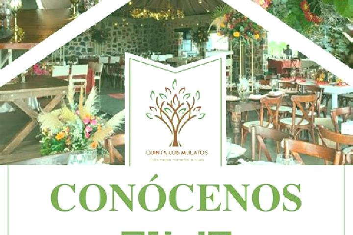 Isabella, 37 — Escort in Coyamel (El Coyame), Mexico