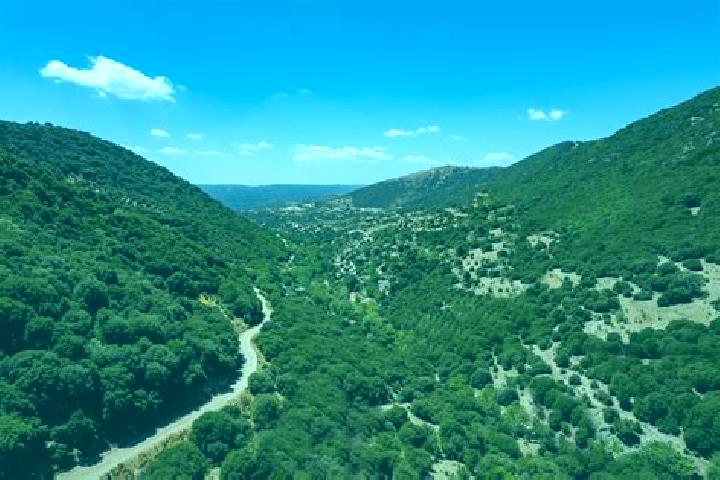 Isabella, 37 — Escort in Nemea, Greece