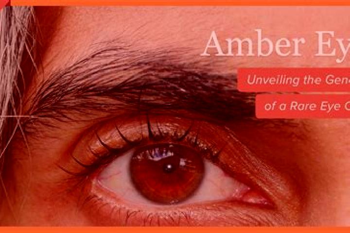 Isabella, 38, a black amber-eyed caribbean companion based in Almagro. Offering 69, Duos, OWO. Available for incall and outcall, overnight bookings available.