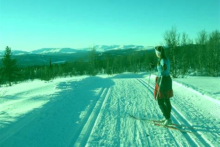 Isabella, 38 — Escort in Berlevag, Norway