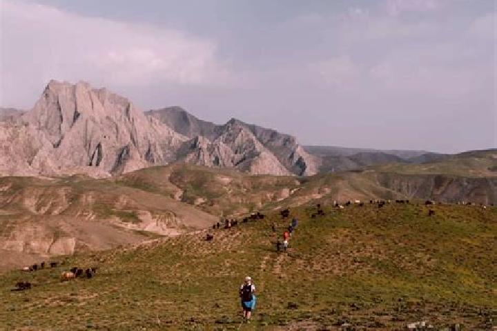 Isabella, 38 — Escort in Burchmulla, Uzbekistan