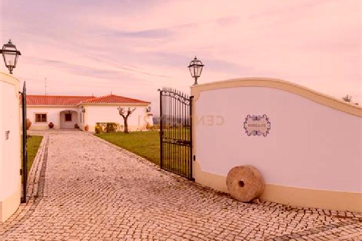 Isabella, 38 — Escort in Moita dos Ferreiros, Portugal