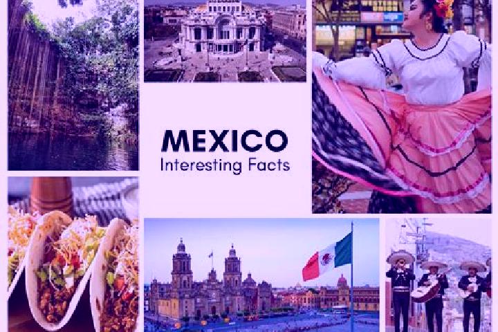 Isabella, 38 — Escort in Palos Blancos, Mexico