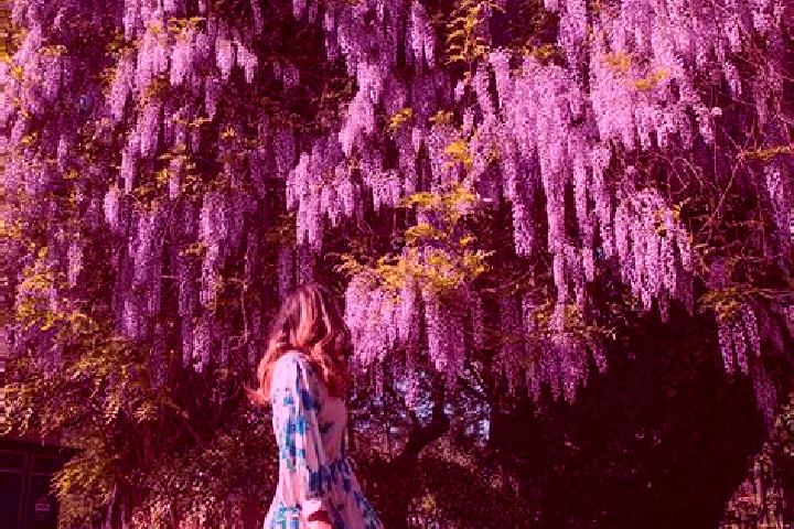 Isabella, 38 — Escort in Schitu Scoicesti, Romania