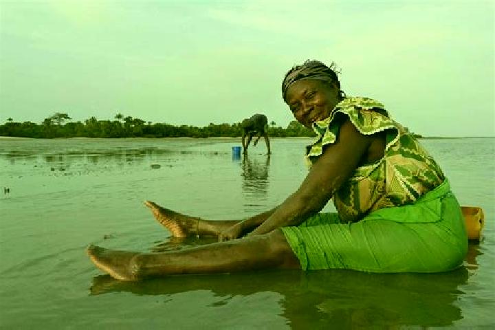 Isabella, 38 — Escort in Sulolor, Gambia