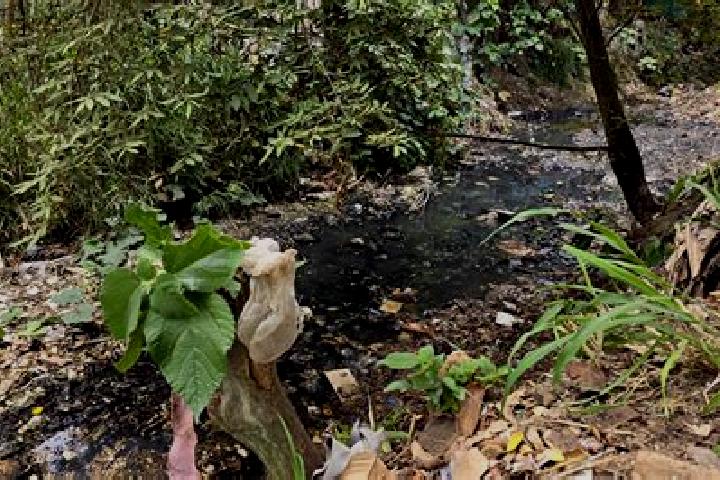 Isabella, 39 — Escort in Hato de la Higuera, Mexico