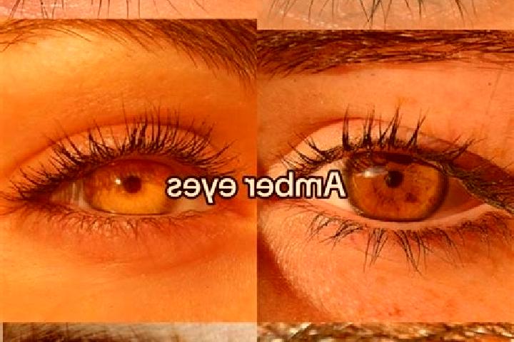 Ivy, 20, a chestnut amber-eyed mixed companion based in Ettumanur. Offering OWO, Dinner Date, Tantra, Domination. Available for incall and outcall, day and e...