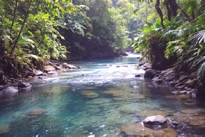 Ivy, 20 — Escort in Agua Santa del Yuna, Dominican Republic