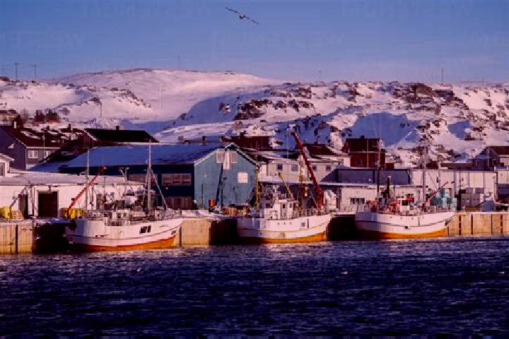 Ivy, 20 — Escort in Berlevag, Norway