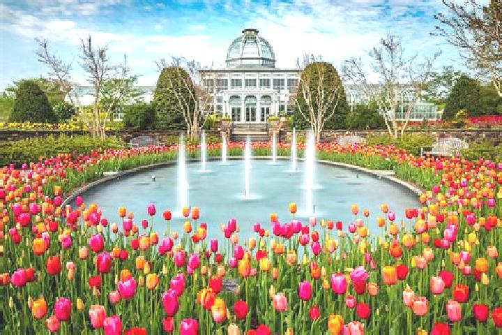 Ivy, 20 — Escort in Cypress Gardens, United States